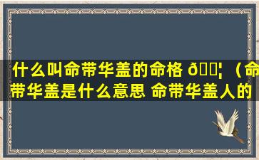 什么叫命带华盖的命格 🐦 （命带华盖是什么意思 命带华盖人的婚姻）